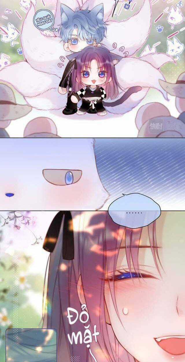 Cạm Bẫy Của Hồ Ly Chapter 31 trang 24