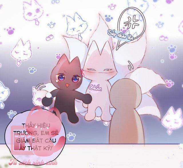 Cạm Bẫy Của Hồ Ly Chapter 34 trang 31