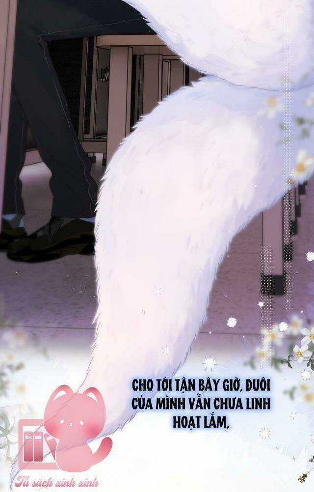 Cạm Bẫy Của Hồ Ly Chapter 35 trang 11