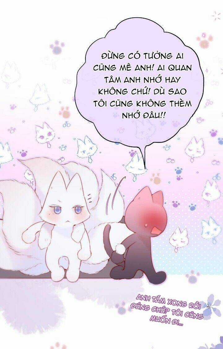 Cạm Bẫy Của Hồ Ly Chapter 36 trang 13