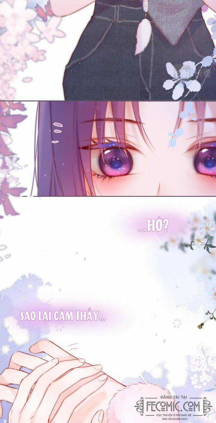 Cạm Bẫy Của Hồ Ly Chapter 36 trang 28