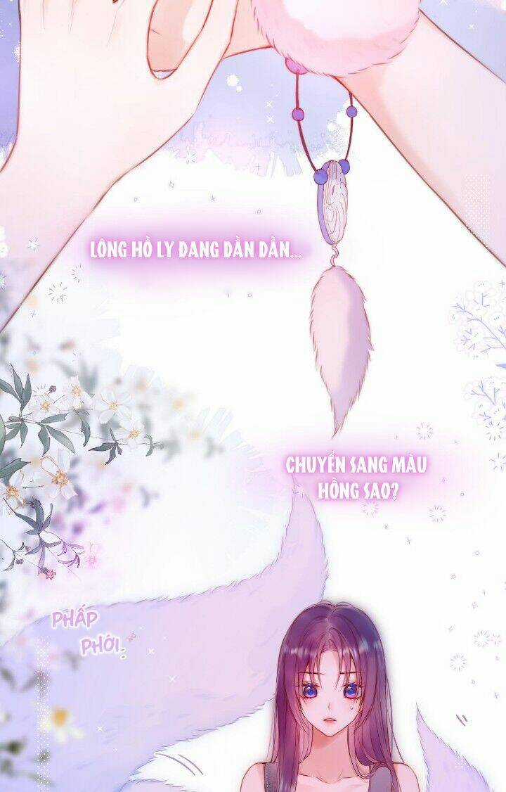 Cạm Bẫy Của Hồ Ly Chapter 36 trang 29