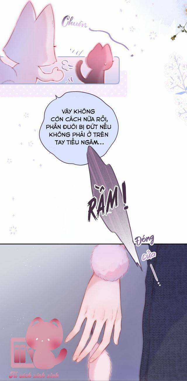 Cạm Bẫy Của Hồ Ly Chapter 37 trang 24