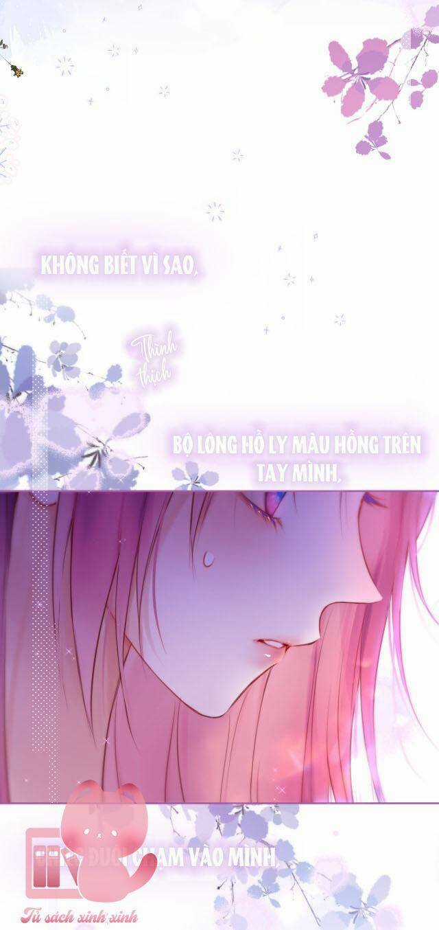 Cạm Bẫy Của Hồ Ly Chapter 37 trang 6