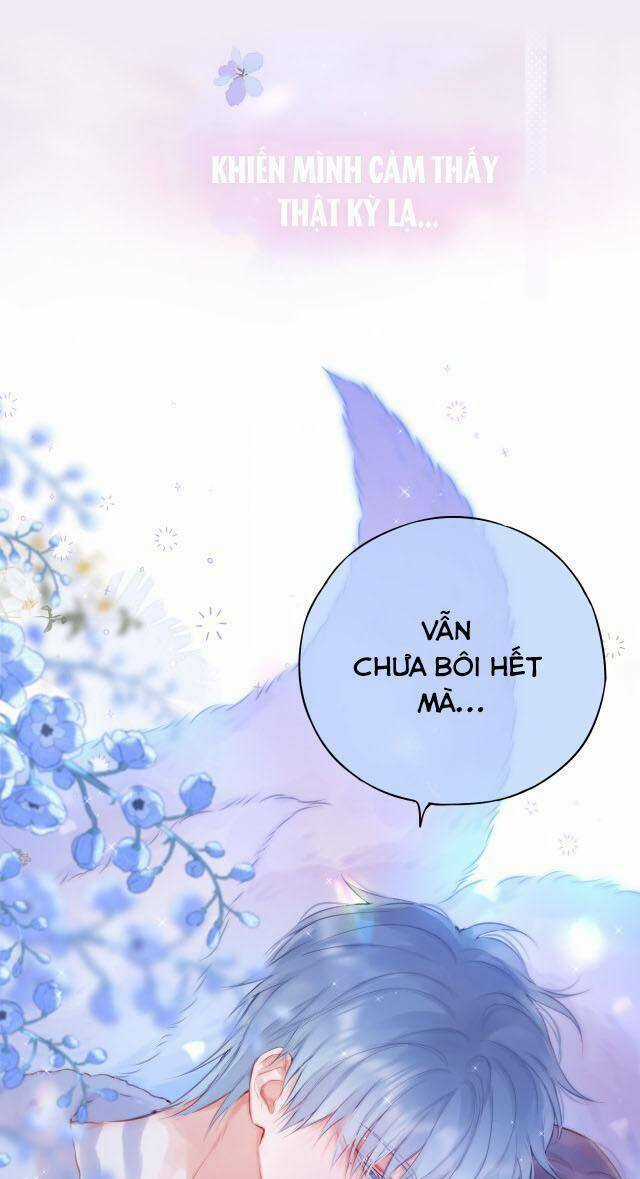 Cạm Bẫy Của Hồ Ly Chapter 37 trang 8