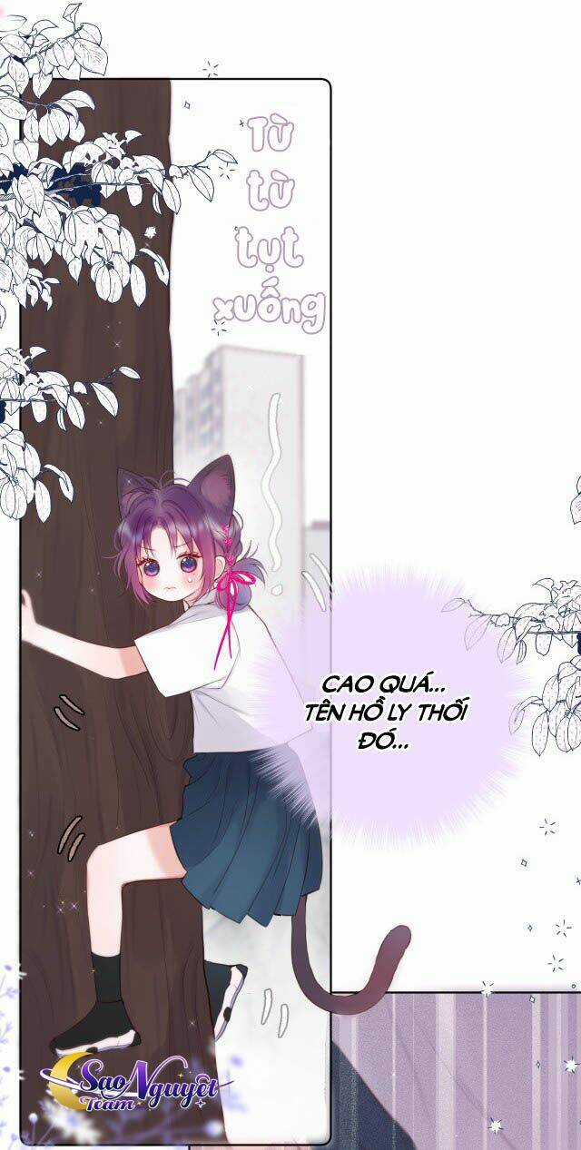 Cạm Bẫy Của Hồ Ly Chapter 4 trang 14