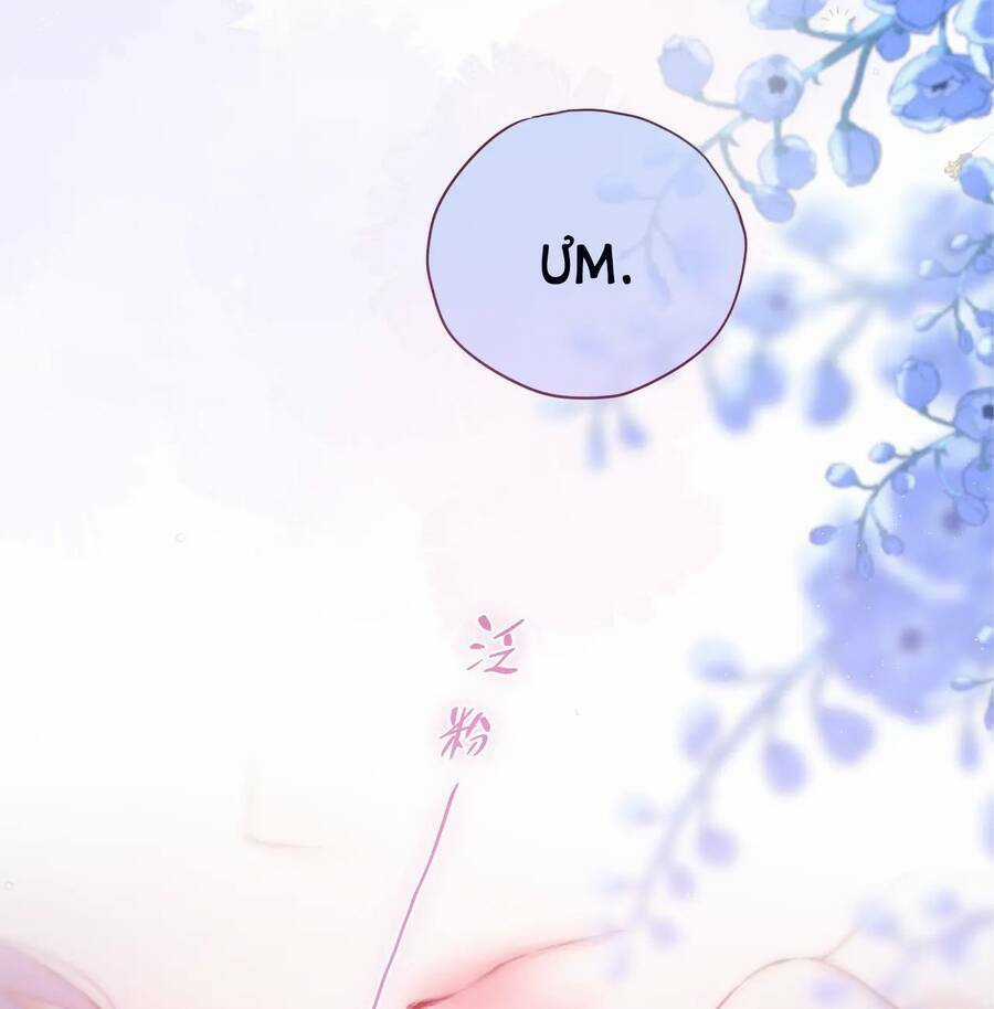 Cạm Bẫy Của Hồ Ly Chapter 41.2 trang 22