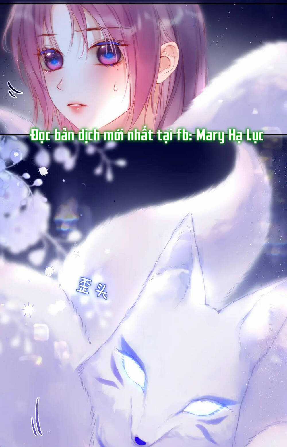 Cạm Bẫy Của Hồ Ly Chapter 42.1 trang 28