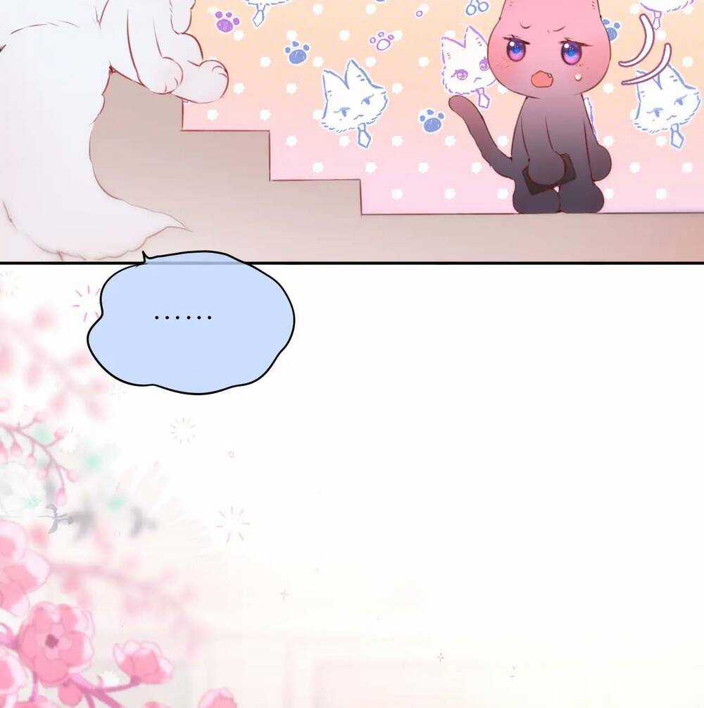 Cạm Bẫy Của Hồ Ly Chapter 47 trang 25