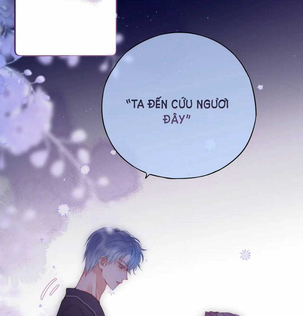 Cạm Bẫy Của Hồ Ly Chapter 48 trang 17