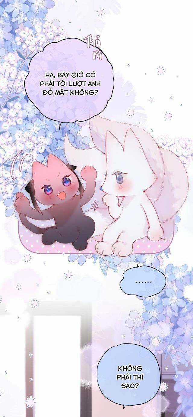 Cạm Bẫy Của Hồ Ly Chapter 49.5 trang 12