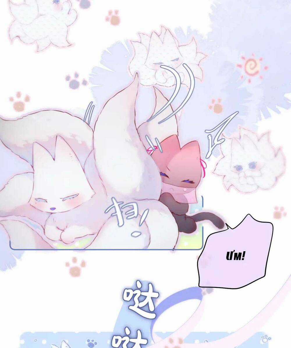 Cạm Bẫy Của Hồ Ly Chapter 49 trang 44