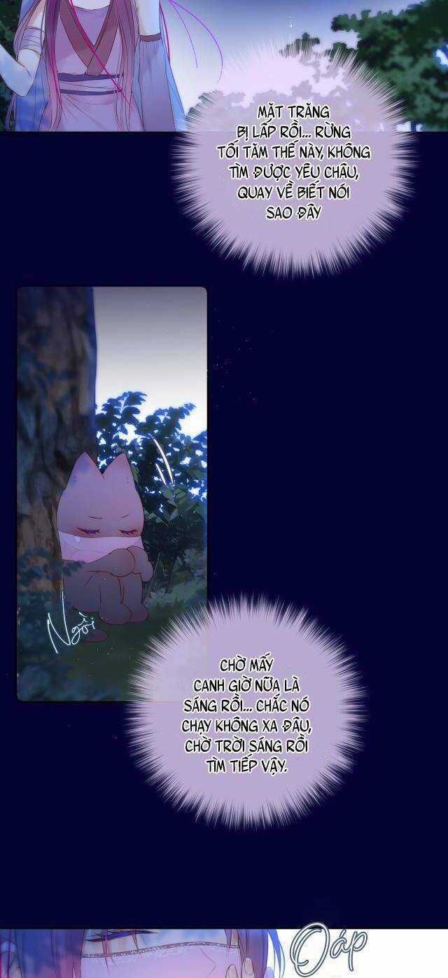 Cạm Bẫy Của Hồ Ly Chapter 50 trang 11