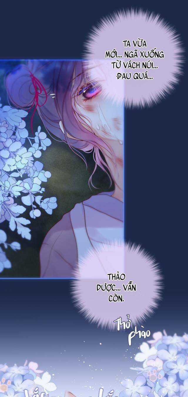 Cạm Bẫy Của Hồ Ly Chapter 50 trang 21