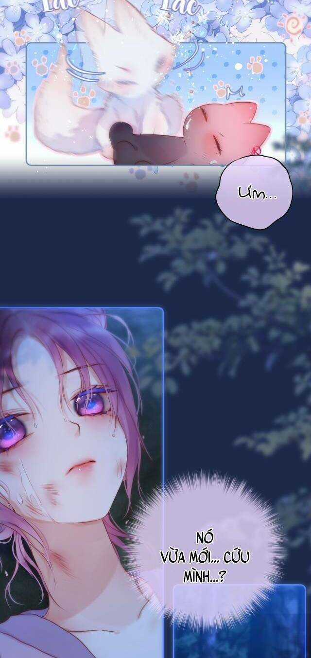 Cạm Bẫy Của Hồ Ly Chapter 50 trang 22