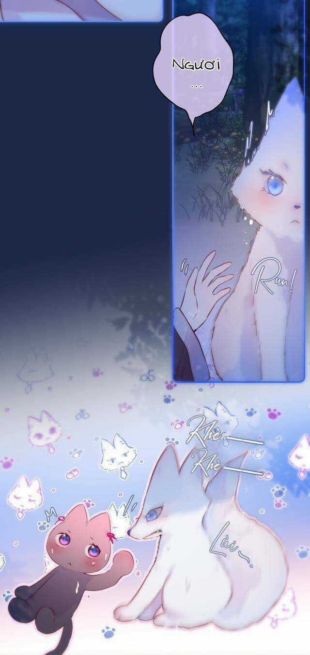 Cạm Bẫy Của Hồ Ly Chapter 50 trang 23