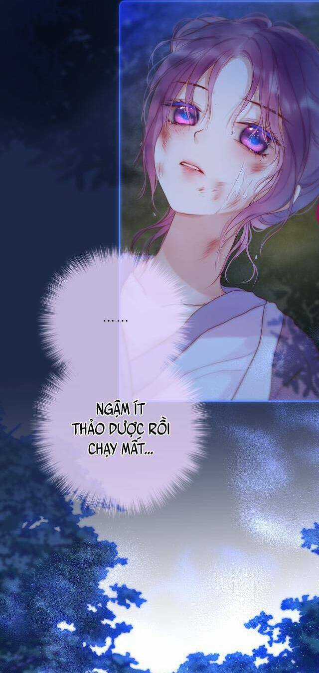 Cạm Bẫy Của Hồ Ly Chapter 50 trang 25