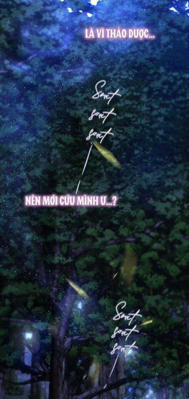 Cạm Bẫy Của Hồ Ly Chapter 50 trang 26