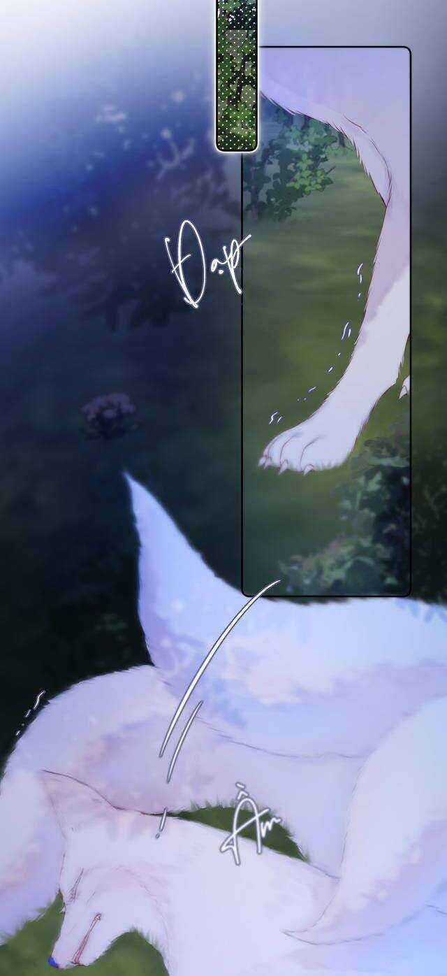 Cạm Bẫy Của Hồ Ly Chapter 50 trang 3