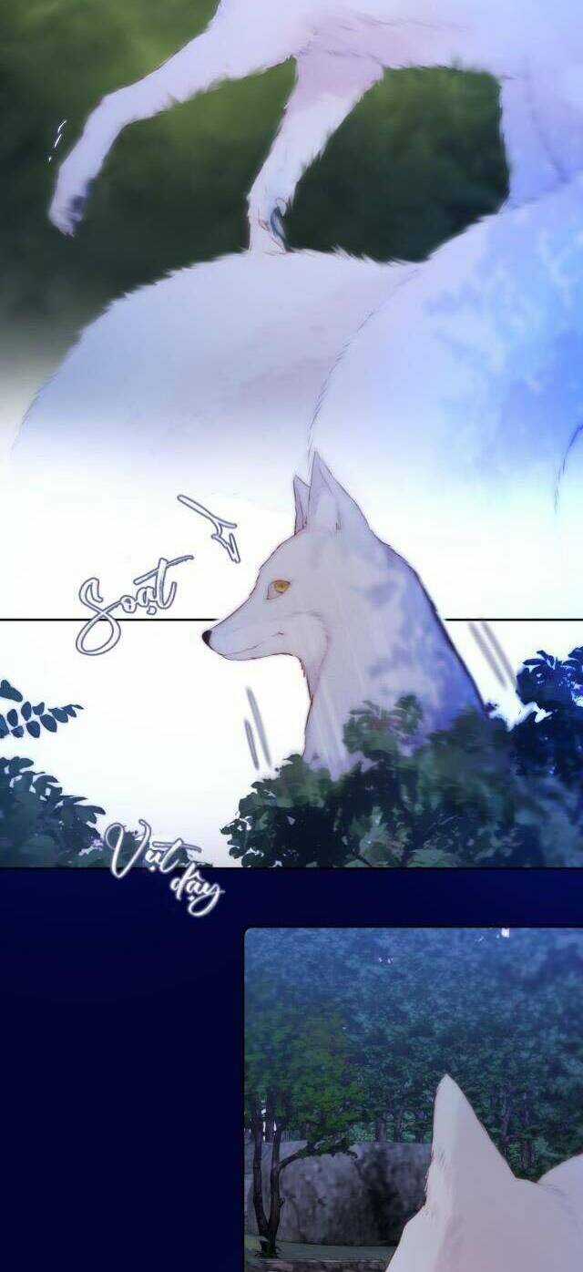 Cạm Bẫy Của Hồ Ly Chapter 50 trang 4