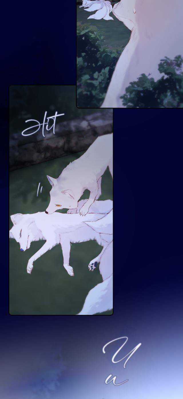 Cạm Bẫy Của Hồ Ly Chapter 50 trang 5