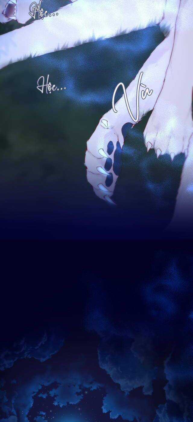 Cạm Bẫy Của Hồ Ly Chapter 50 trang 7