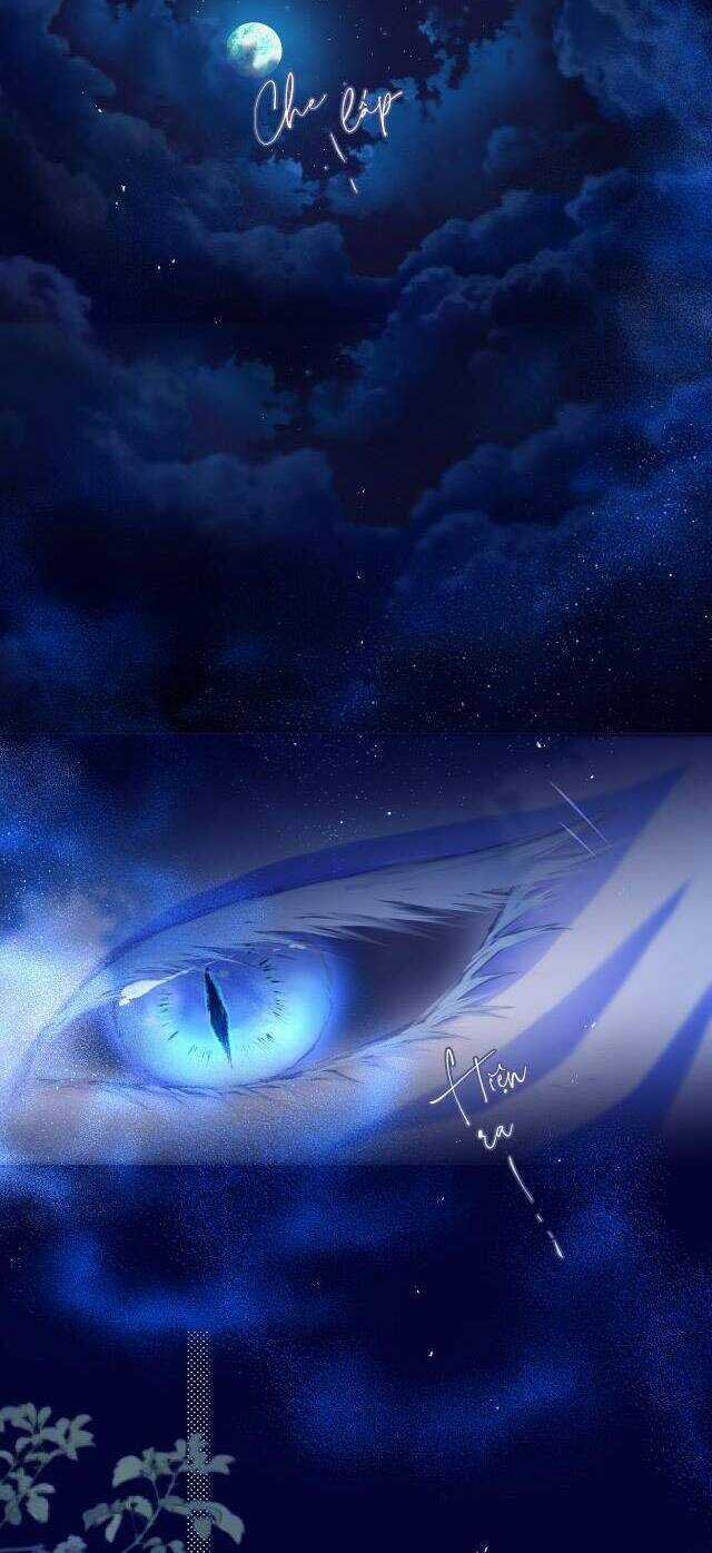 Cạm Bẫy Của Hồ Ly Chapter 50 trang 8