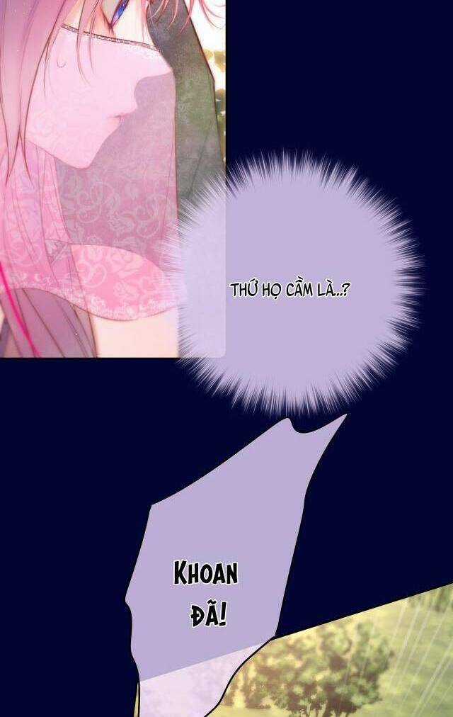 Cạm Bẫy Của Hồ Ly Chapter 51 trang 12