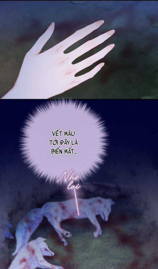 Cạm Bẫy Của Hồ Ly Chapter 51 trang 4