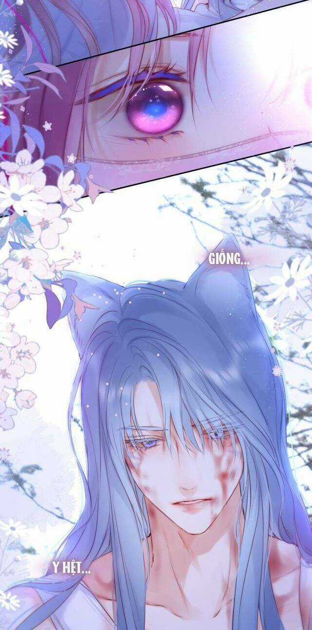 Cạm Bẫy Của Hồ Ly Chapter 52 trang 22