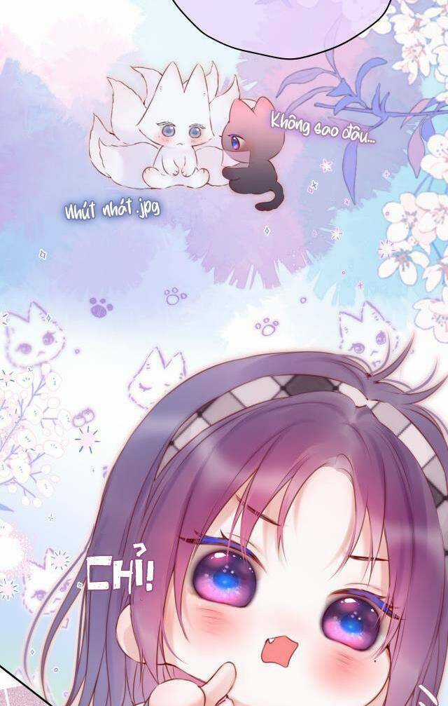 Cạm Bẫy Của Hồ Ly Chapter 53 trang 28