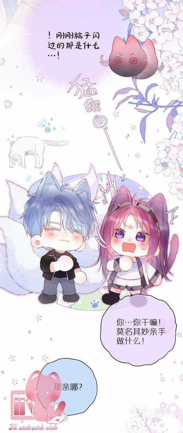 Cạm Bẫy Của Hồ Ly Chapter 53 trang 52