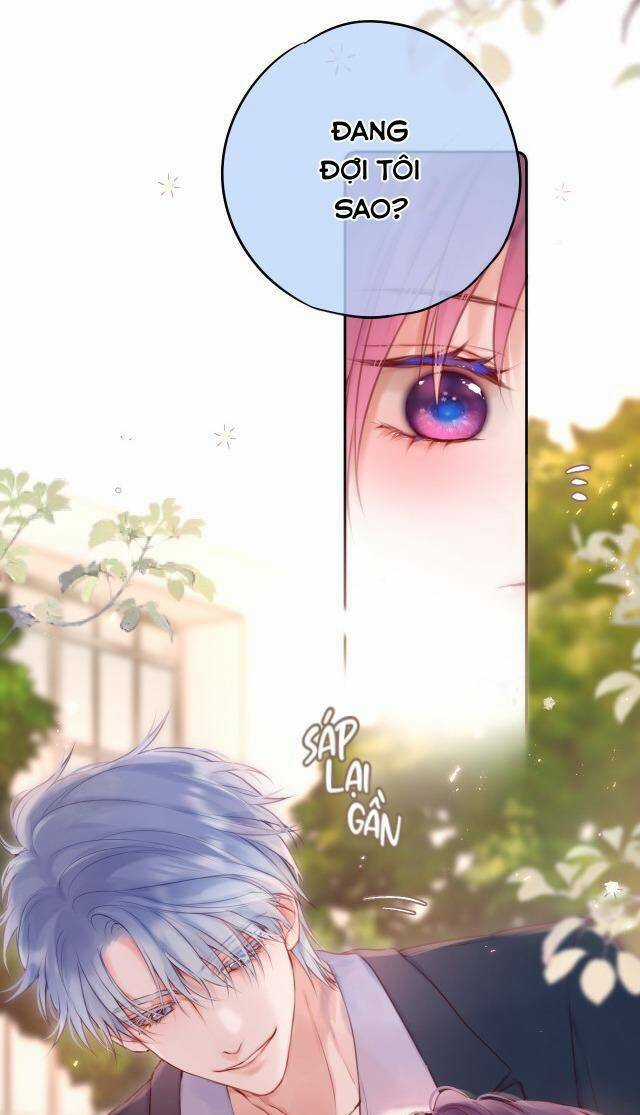 Cạm Bẫy Của Hồ Ly Chapter 57 trang 28