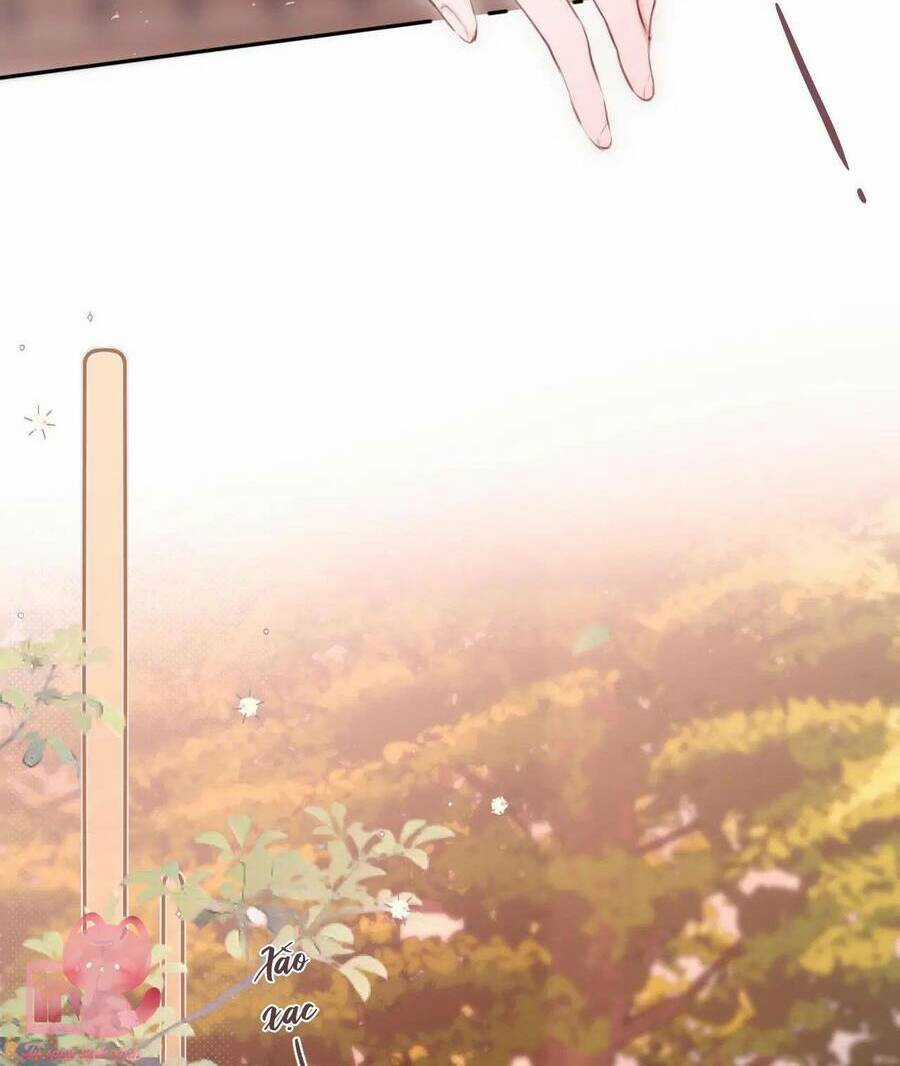 Cạm Bẫy Của Hồ Ly Chapter 60 trang 12