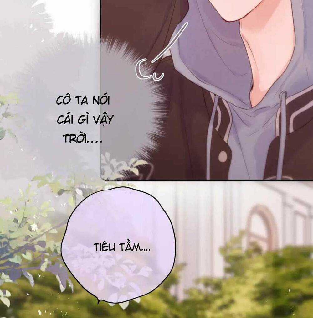 Cạm Bẫy Của Hồ Ly Chapter 61 trang 13