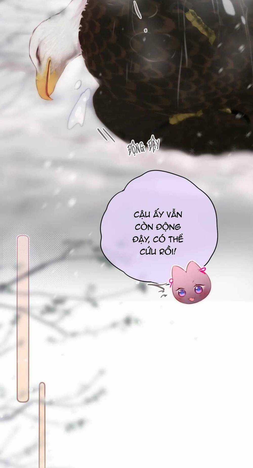 Cạm Bẫy Của Hồ Ly Chapter 62 trang 23