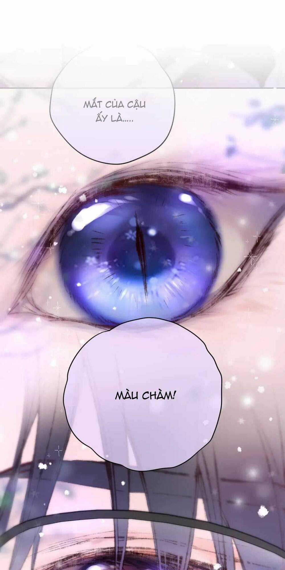 Cạm Bẫy Của Hồ Ly Chapter 63 trang 2