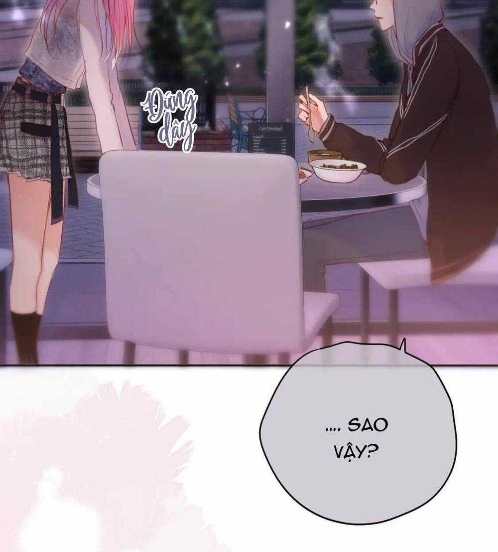 Cạm Bẫy Của Hồ Ly Chapter 64 trang 28