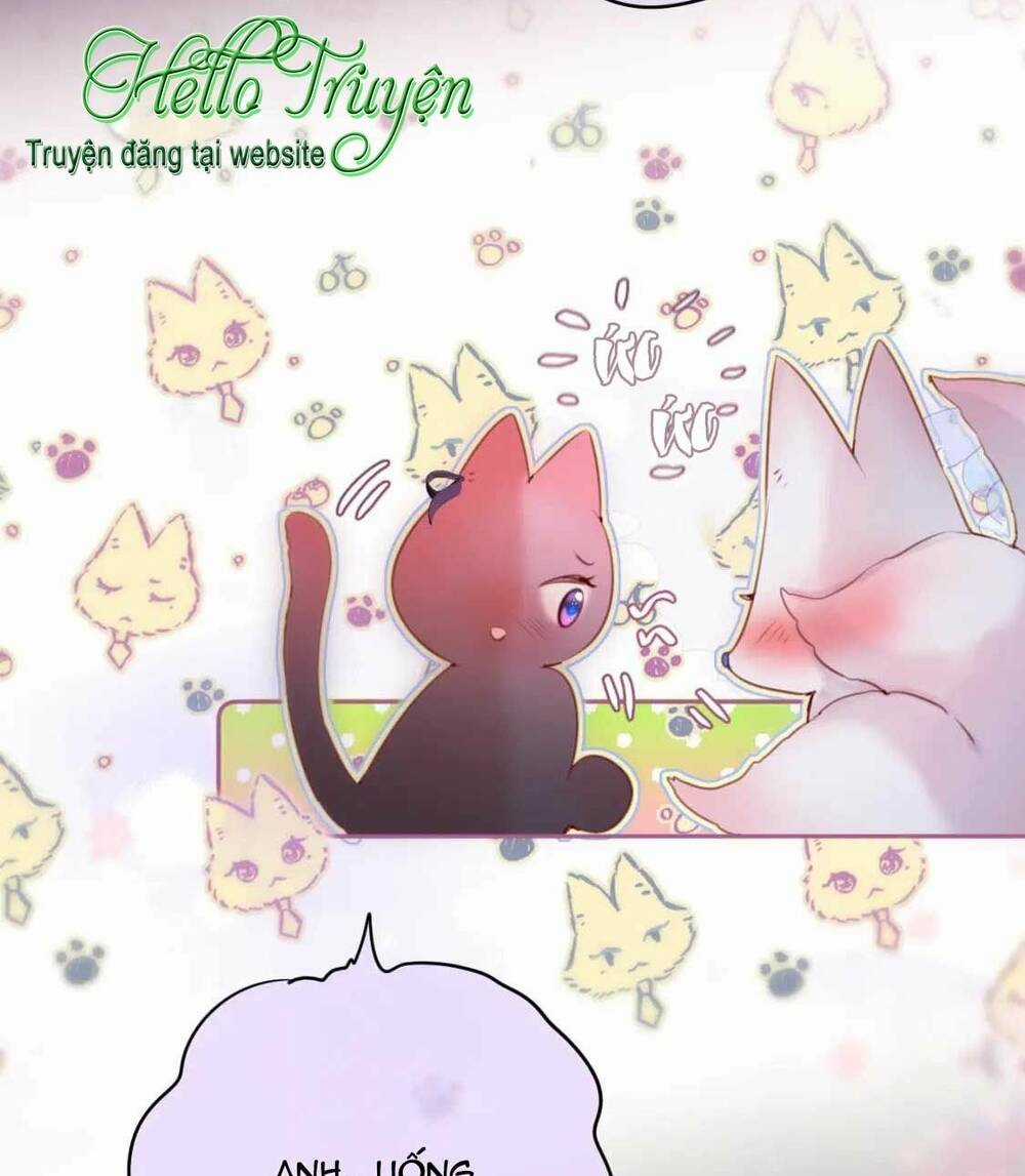 Cạm Bẫy Của Hồ Ly Chapter 65 trang 24