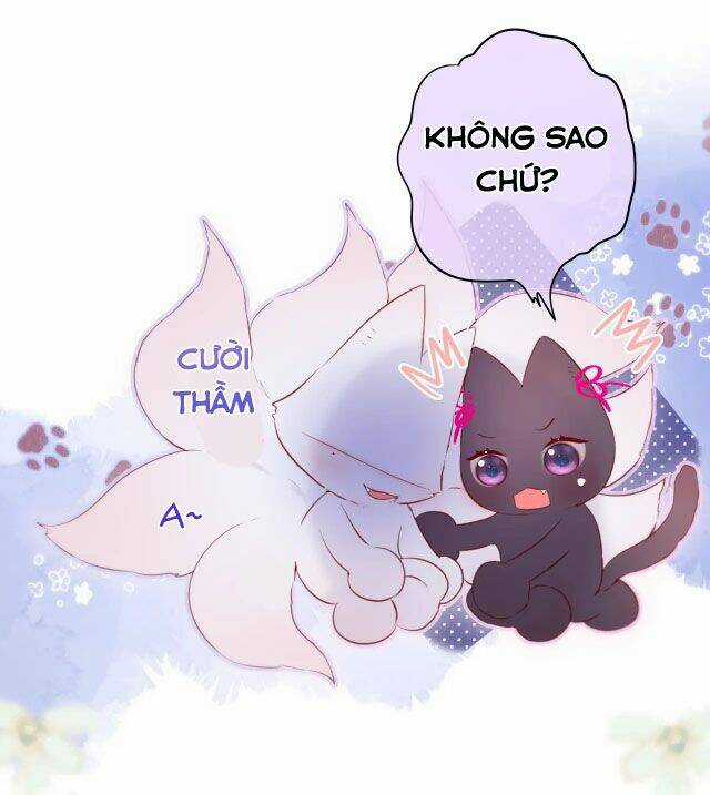 Cạm Bẫy Của Hồ Ly Chapter 8 trang 21