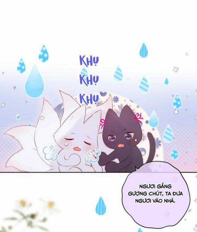 Cạm Bẫy Của Hồ Ly Chapter 8 trang 27