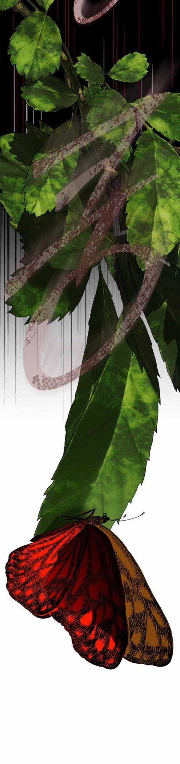 Cạm Bẫy Chapter 178.1 trang 47