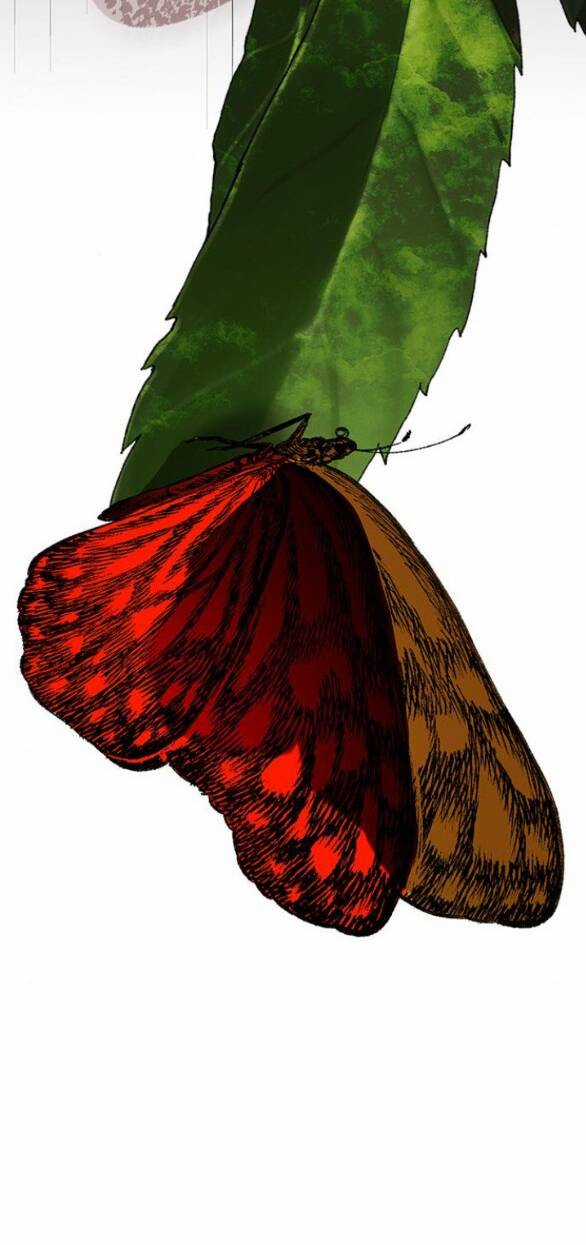 Cạm Bẫy Chapter 178 trang 51