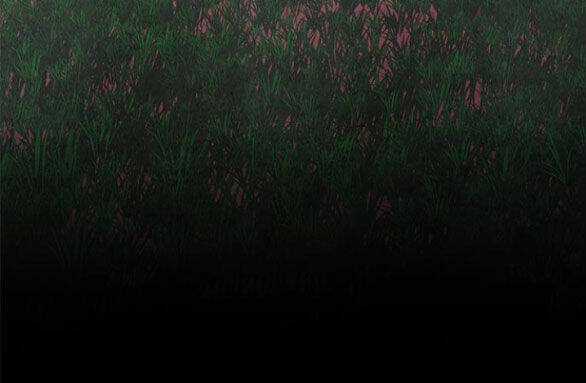 Cạm Bẫy Chapter 180.2 trang 48