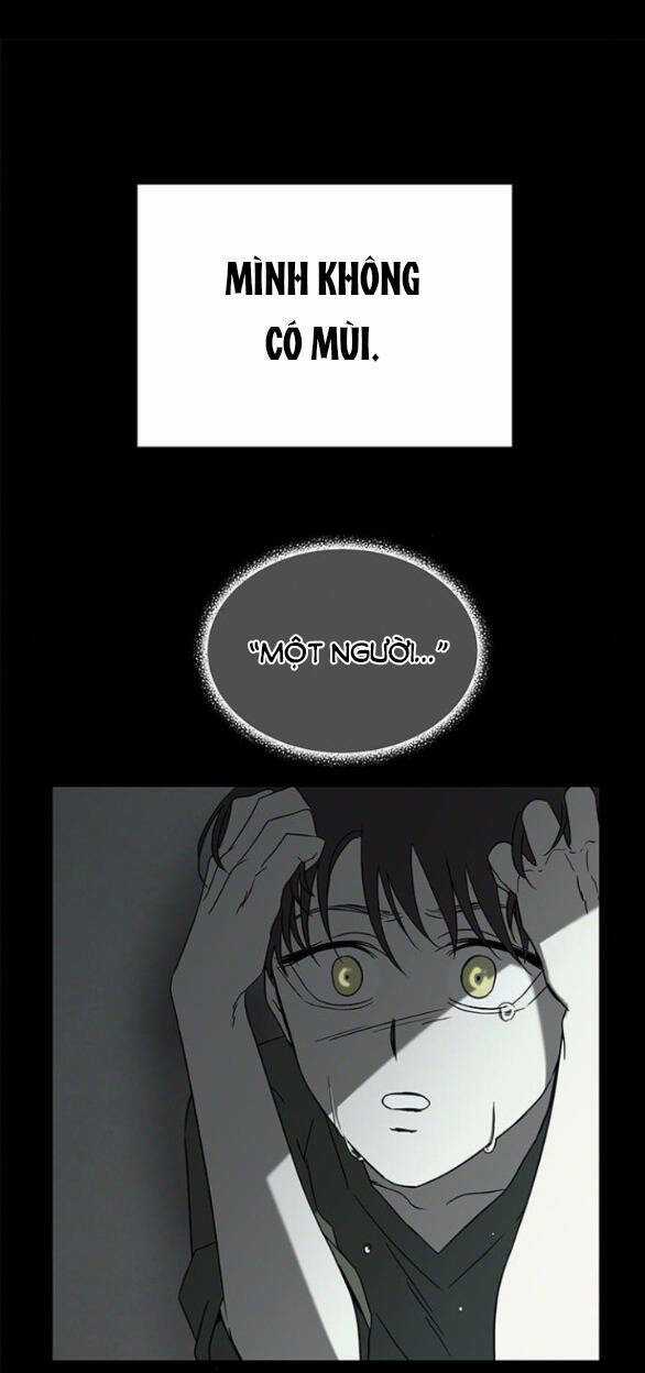 Cạm Bẫy Chapter 181 trang 53
