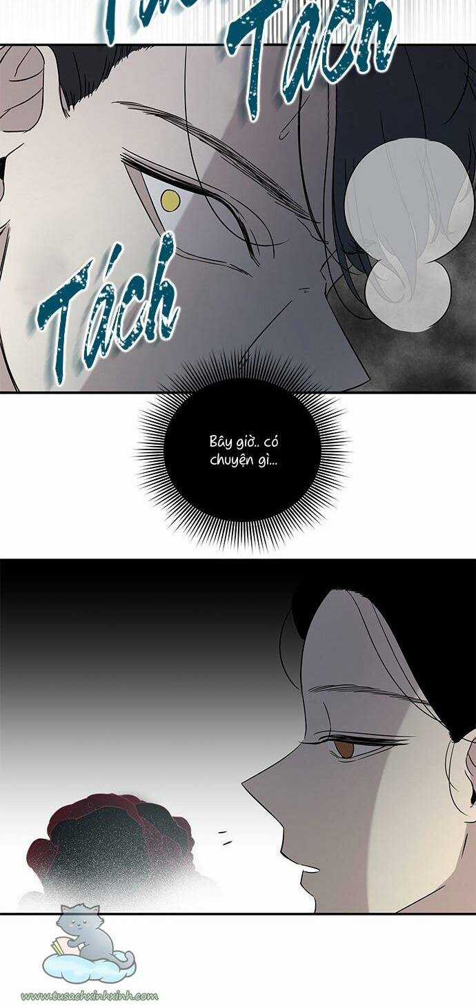 Cạm Bẫy Chapter 22 trang 51