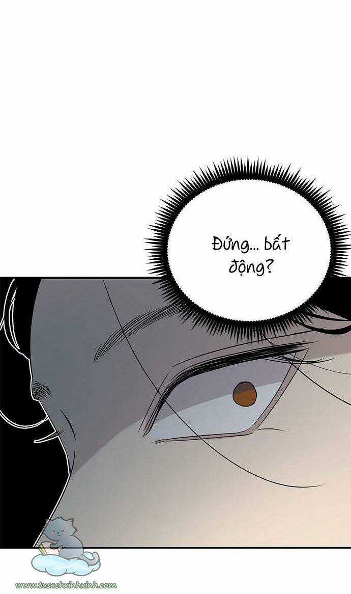 Cạm Bẫy Chapter 23 trang 19