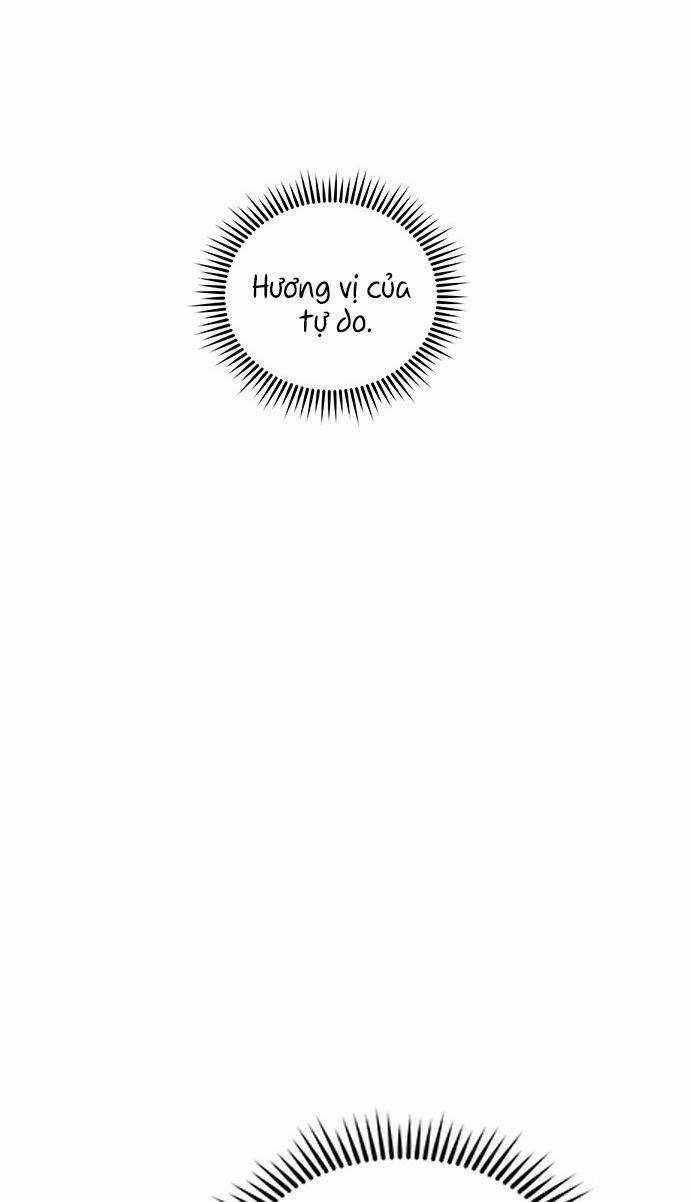 Cạm Bẫy Chapter 36 trang 4