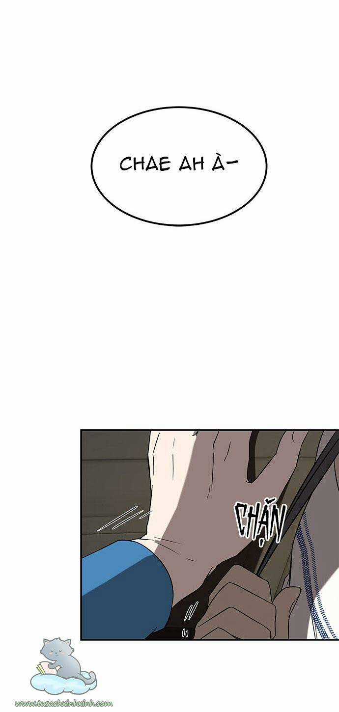 Cạm Bẫy Chapter 37 trang 44