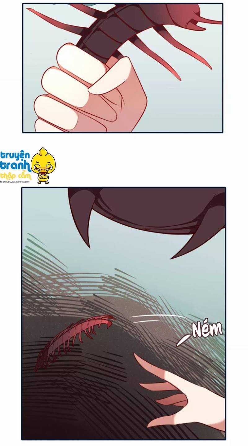 Cẩm Lý Quy Chương 9 trang 21